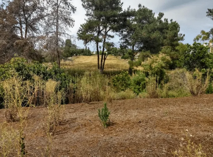 East Elliott, San Diego County