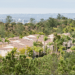 Miramar Ranch North Tile Grout Stone Cleaning Restoration