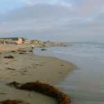 Pacific Beach Tile Grout Stone Cleaning Restoration