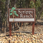 Scripps Ranch Tile Grout Stone Cleaning Restoration