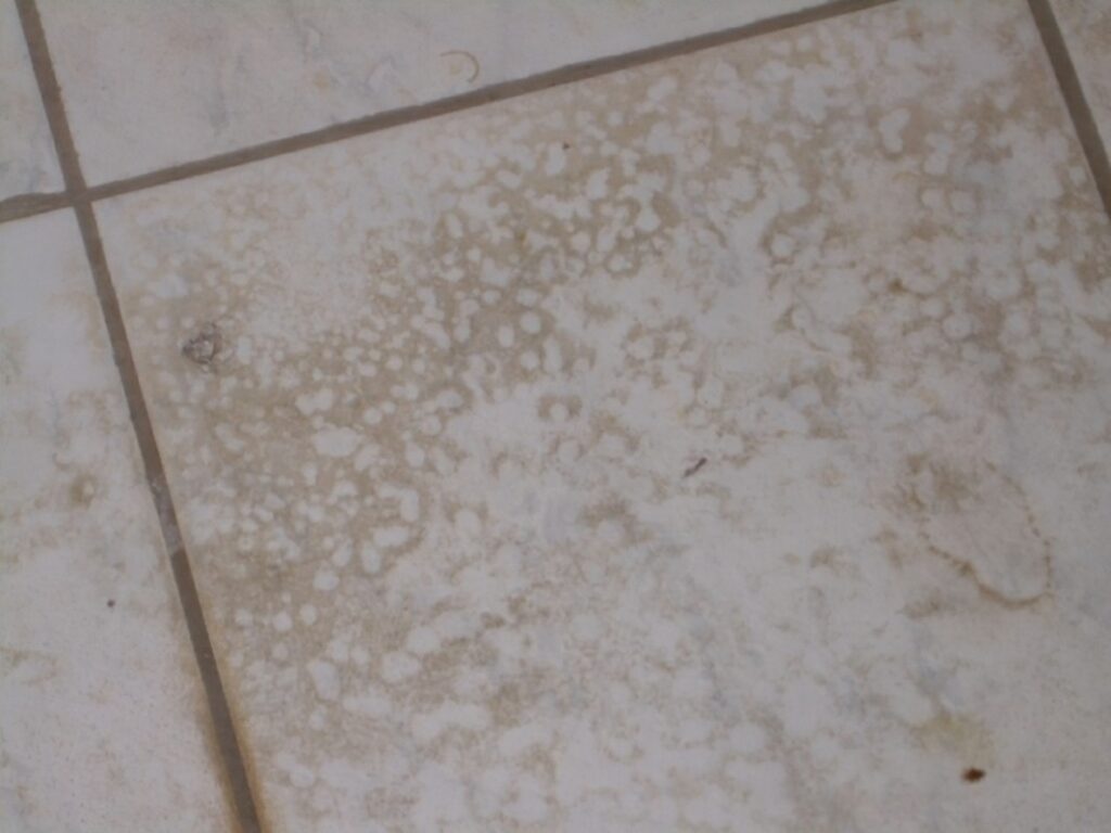 5 Tips To Remove Stubborn Stains From Shower Tile In San Diego