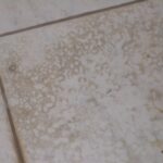 5 Tips To Remove Stubborn Stains From Shower Tile In San Diego