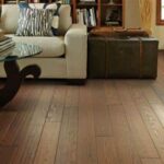 5 Precautions To Take While Cleaning Your Wood Floor In San Diego