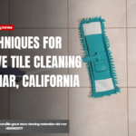affordable tile cleaning services Del Mar