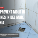 how mold forms in grout lines Del Mar
