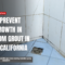 how mold grows in bathroom grout Poway