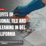 how professional tile cleaning works Del Mar