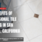 how professional tile cleaning works San Marcos