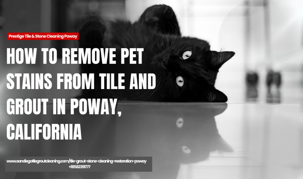 pet stains affect tile and grout Poway
