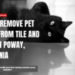 pet stains affect tile and grout Poway