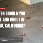 tile and grout sealing services Carlsbad