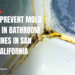 how mold grows in grout lines San Diego