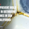 how mold grows in grout lines San Diego