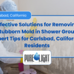mold in shower grout that won't come off Carlsbad