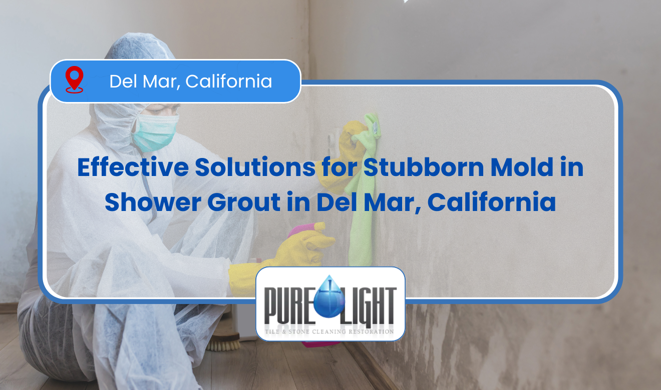 mold in shower grout that won't come off Del Mar