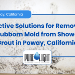 mold in shower grout that won't come off Poway