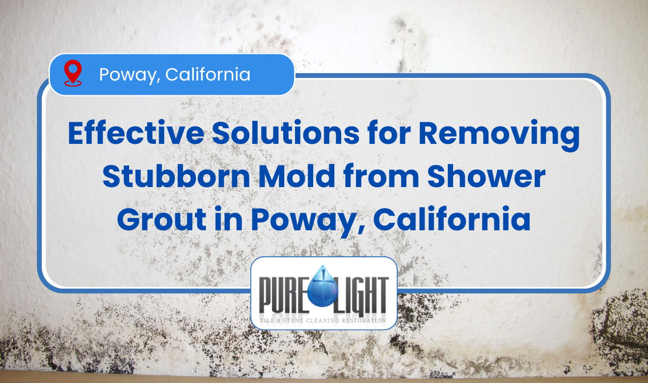 mold in shower grout that won't come off Poway